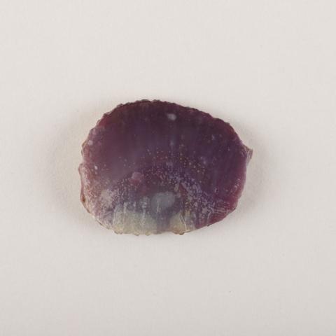 Primera imagen del registro Preforma anzuelo